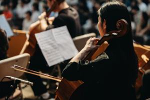 cellist performing at a live orchestra concert